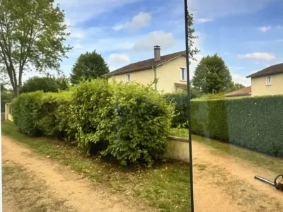 Prestations de taille de haie