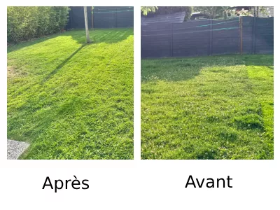 Prestation de tonte