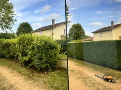 Avant/Après Prestations de taille de haie